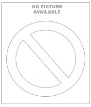 Joint Strike Fighter